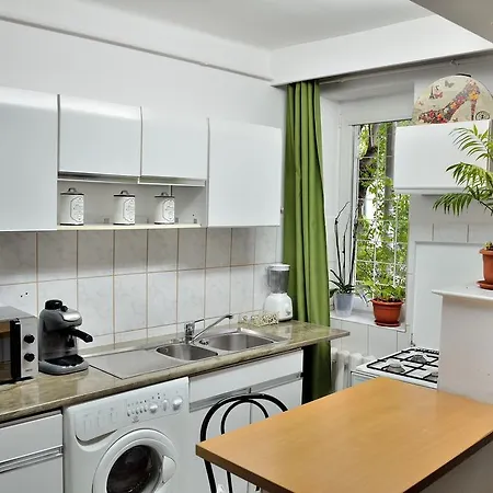 Nice Downtown Apartamento Cluj-Napoca